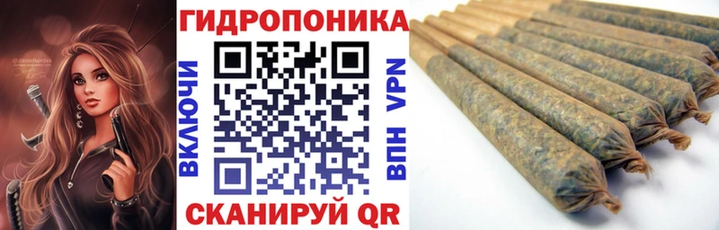 hydra маркетплейс  Элиста  Каннабис индика  купить наркотики цена 
