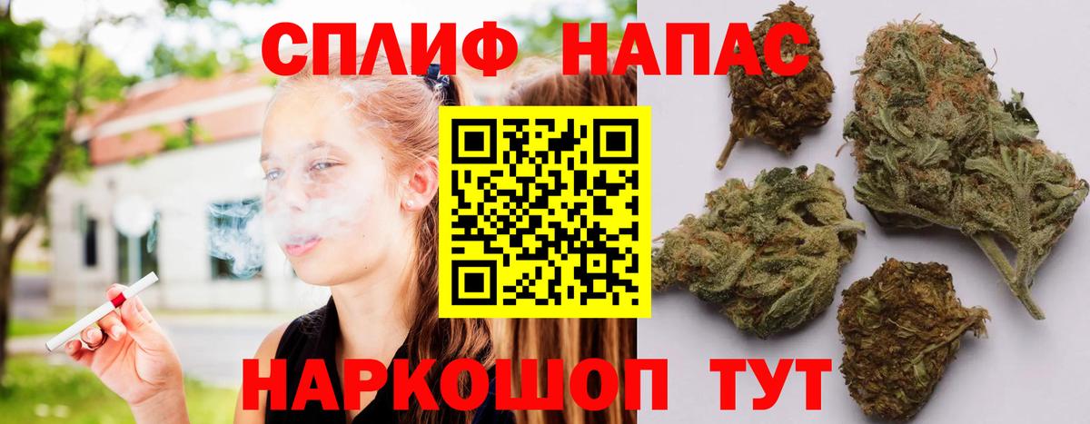 Элиста  Конопля Amnesia  Вход с VPN  Конопля планчик  Марихуана White Widow 